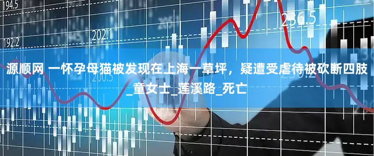 源顺网 一怀孕母猫被发现在上海一草坪，疑遭受虐待被砍断四肢_童女士_莲溪路_死亡
