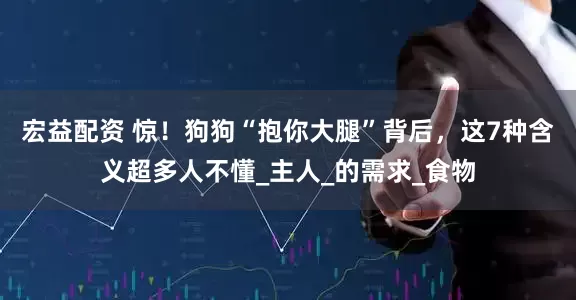 宏益配资 惊！狗狗“抱你大腿”背后，这7种含义超多人不懂_主人_的需求_食物