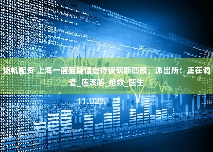扬帆配资 上海一蓝猫疑遭虐待被砍断四肢，派出所：正在调查_莲溪路_抢救_医生