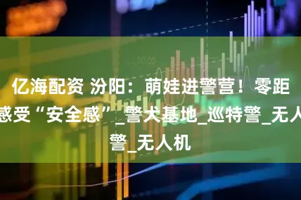 亿海配资 汾阳：萌娃进警营！零距离感受“安全感”_警犬基地_巡特警_无人机