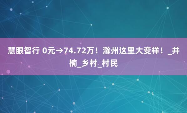 慧眼智行 0元→74.72万！滁州这里大变样！_井楠_乡村_村民