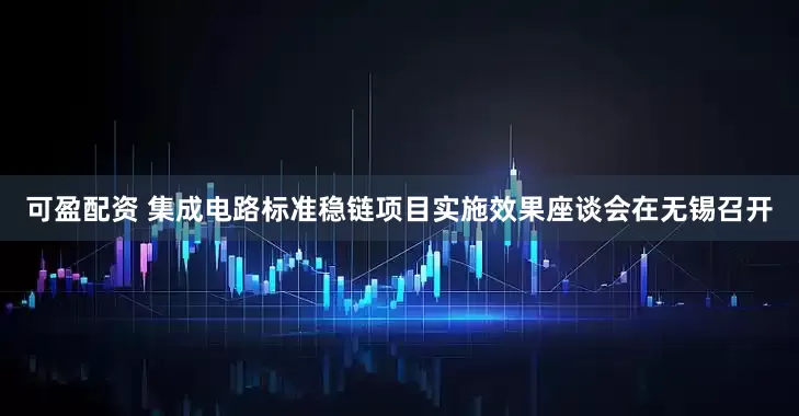 可盈配资 集成电路标准稳链项目实施效果座谈会在无锡召开