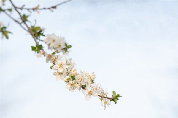 德邦国际 12星座最新一周运势解析10.06-10.12