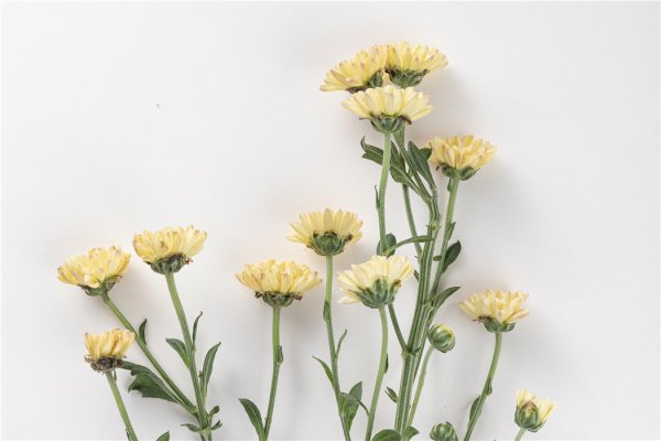 合优投资 12星座2025年10月运势查询