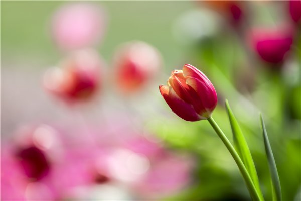 易方达证券 12星座最新一周运势解析09.22-09.28